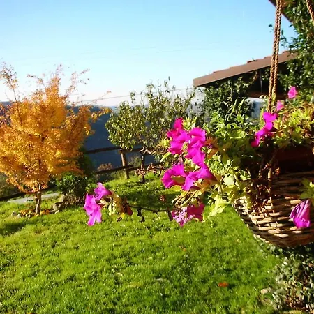 팜스테이 Le Piagge *