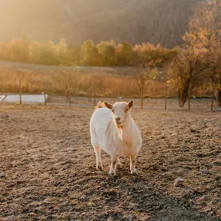 Agroturismo Le Piagge Ponzone