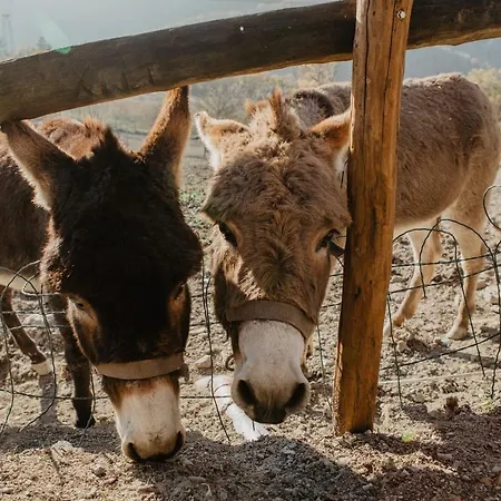 Le Piagge 팜스테이 Ponzone